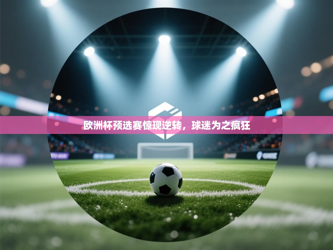 欧洲杯预选赛惊现逆转,球迷为之疯狂 第2张