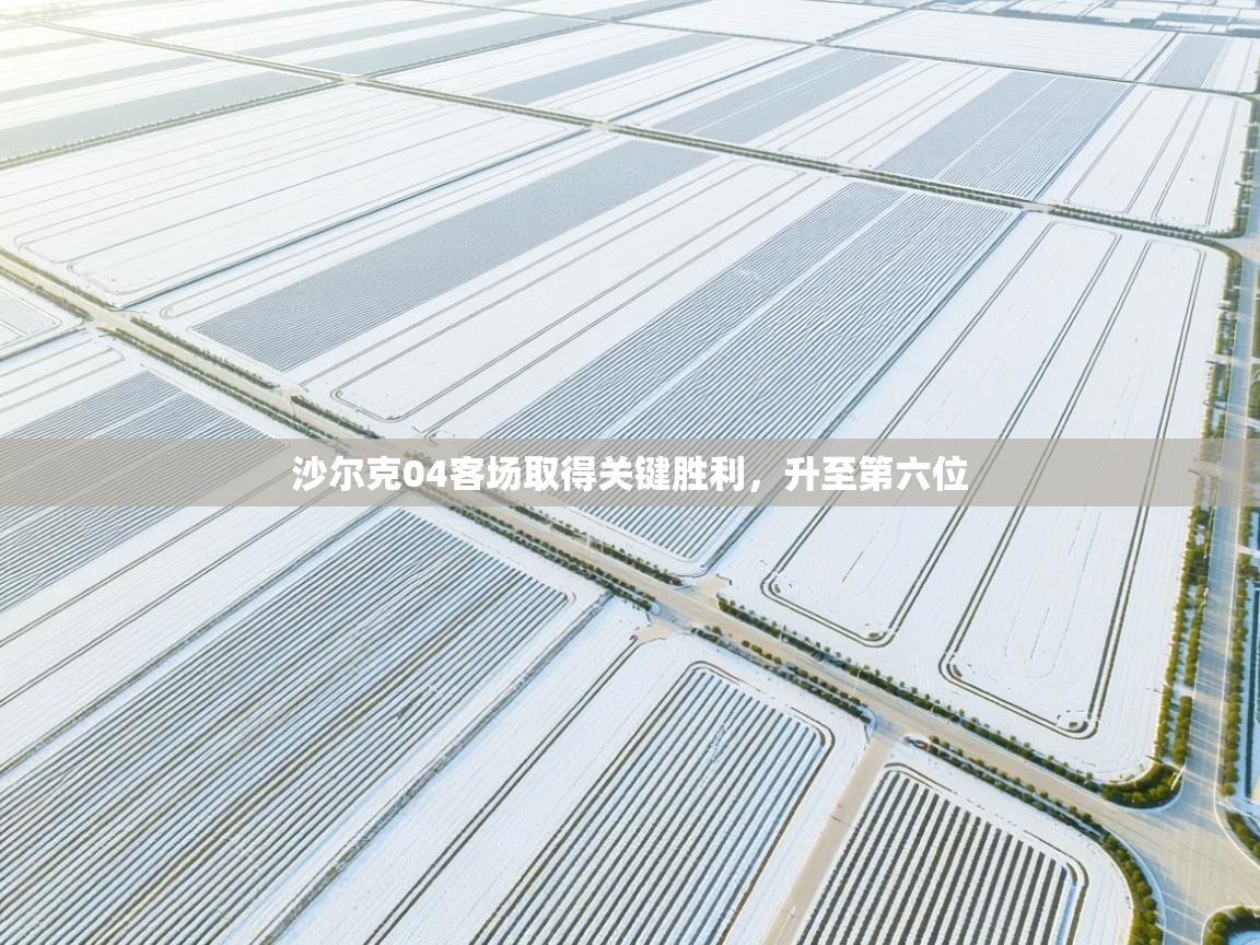 沙尔克04客场取得关键胜利，升至第六位  第2张